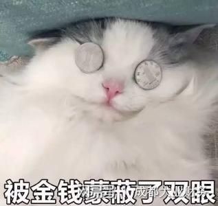 开云 开云体育官网代理记账的这些“黑幕”你知道吗(图6)