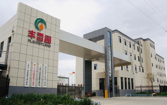 开云 开云体育官网芝麻开花节节高丰香园专注芝麻产业化成就“单项冠军”(图1)