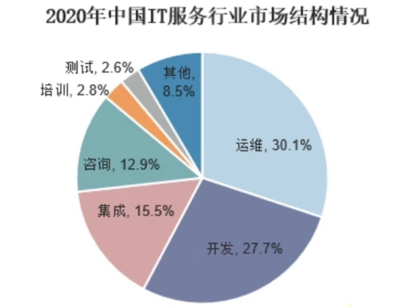 2022年IT服务行业研究报告开云 开云体育APP(图15)