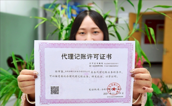 安徽发出首张代理记账开云 开云体育APP电子证照(图2)