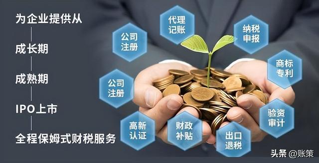 深度分析 开云 开云体育APP为什么“代账公司”越来越多、越来越难干？(图1)
