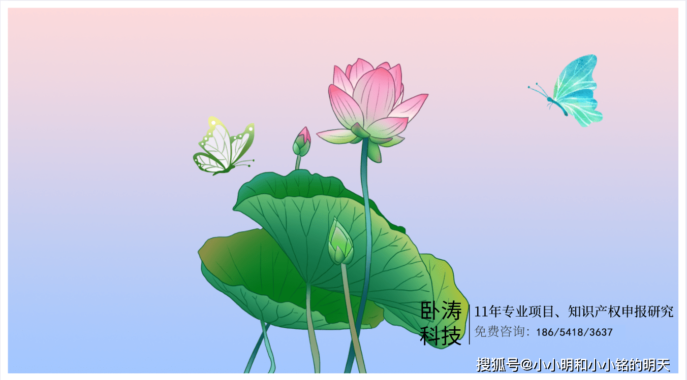 成都记账公司开云体育 开云平台范围、专业代理、代理记账内容(图1)