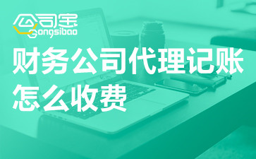 财务公司代理记账怎么收费 2开云 开云体育官网023代理记账收费价格标准(图1)