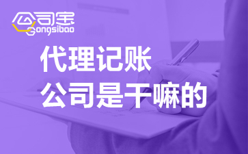 代理记账公司是干嘛的？广东东莞代理记账公司开云体育 开云平台都做什么(图1)