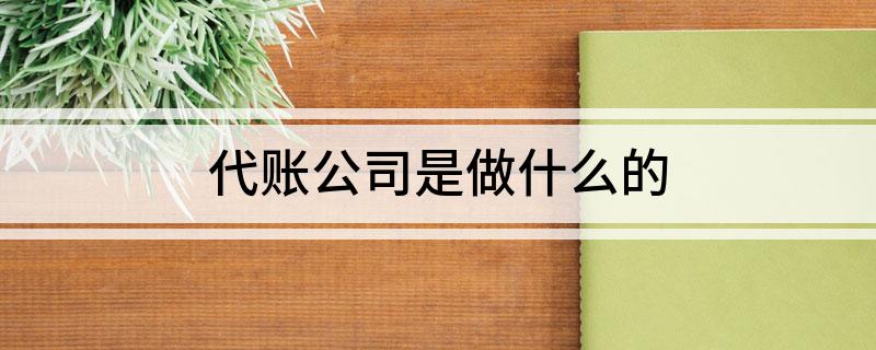 开云体育 Kaiyun.com 官网入口代账公司是做什么的(图1)