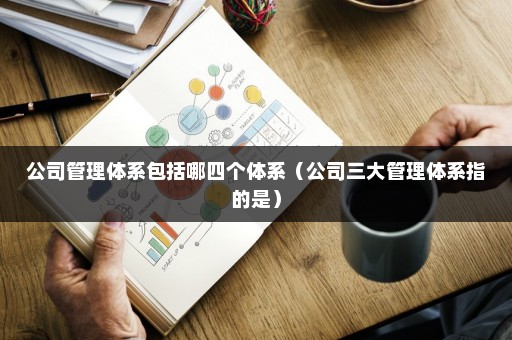 公司管理体系包括哪四个体系开云APP 开云官网入口(图1)