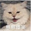 大连理工大学企业管理专业考情分析和考研上岸经验贴开云 开云体育官网(图3)