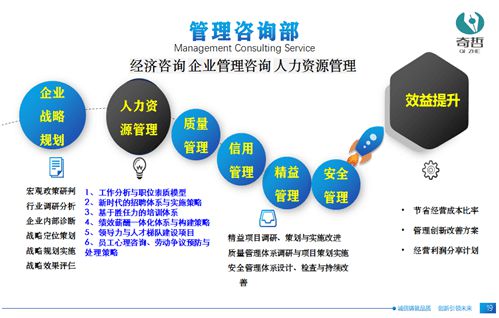 奇哲咨询：企开云 开云体育官网业管理解决方案专家为组织创造价值(图2)