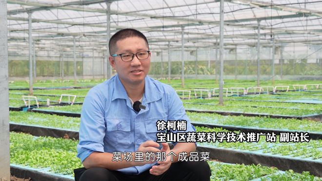 这些年 把科技“深耕”在田间地开云 开云体育官网头(图1)