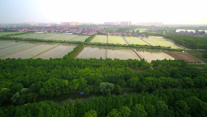 这些年 把科技“深耕”在田间地开云 开云体育官网头(图7)