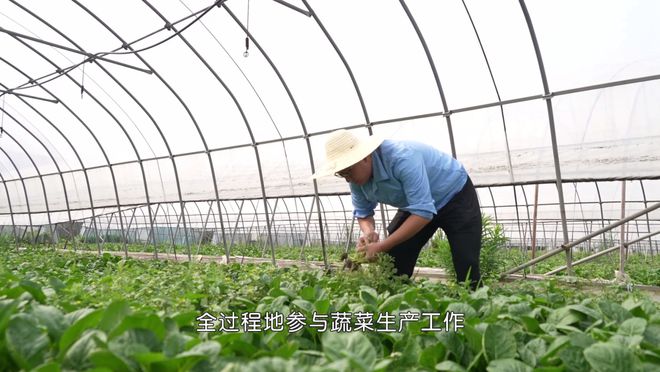 这些年 把科技“深耕”在田间地开云 开云体育官网头(图4)