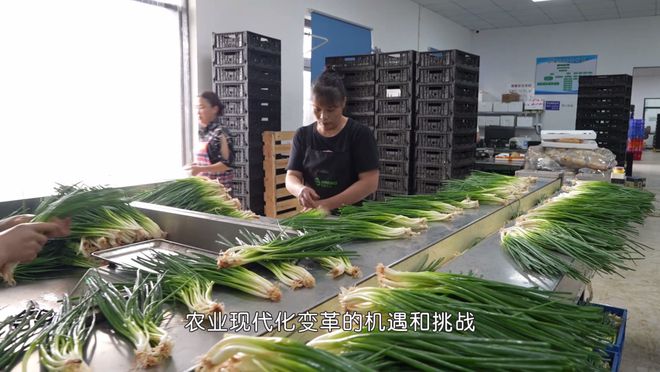 这些年 把科技“深耕”在田间地开云 开云体育官网头(图9)