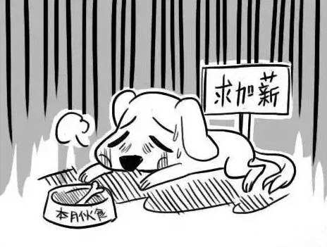财务人员最真实开云体育 Kaiyun.com 官网入口的体会工作就像像像像像……(图1)