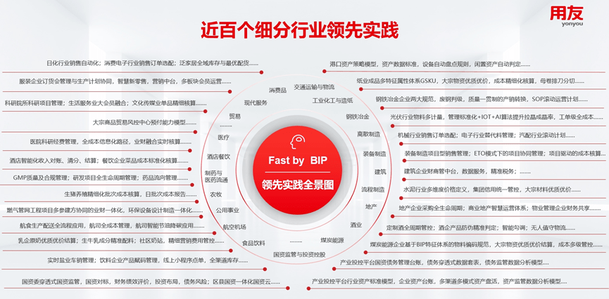 用友Fast 开云 开云体育官网by BIP领先实践全景图公布！(图1)